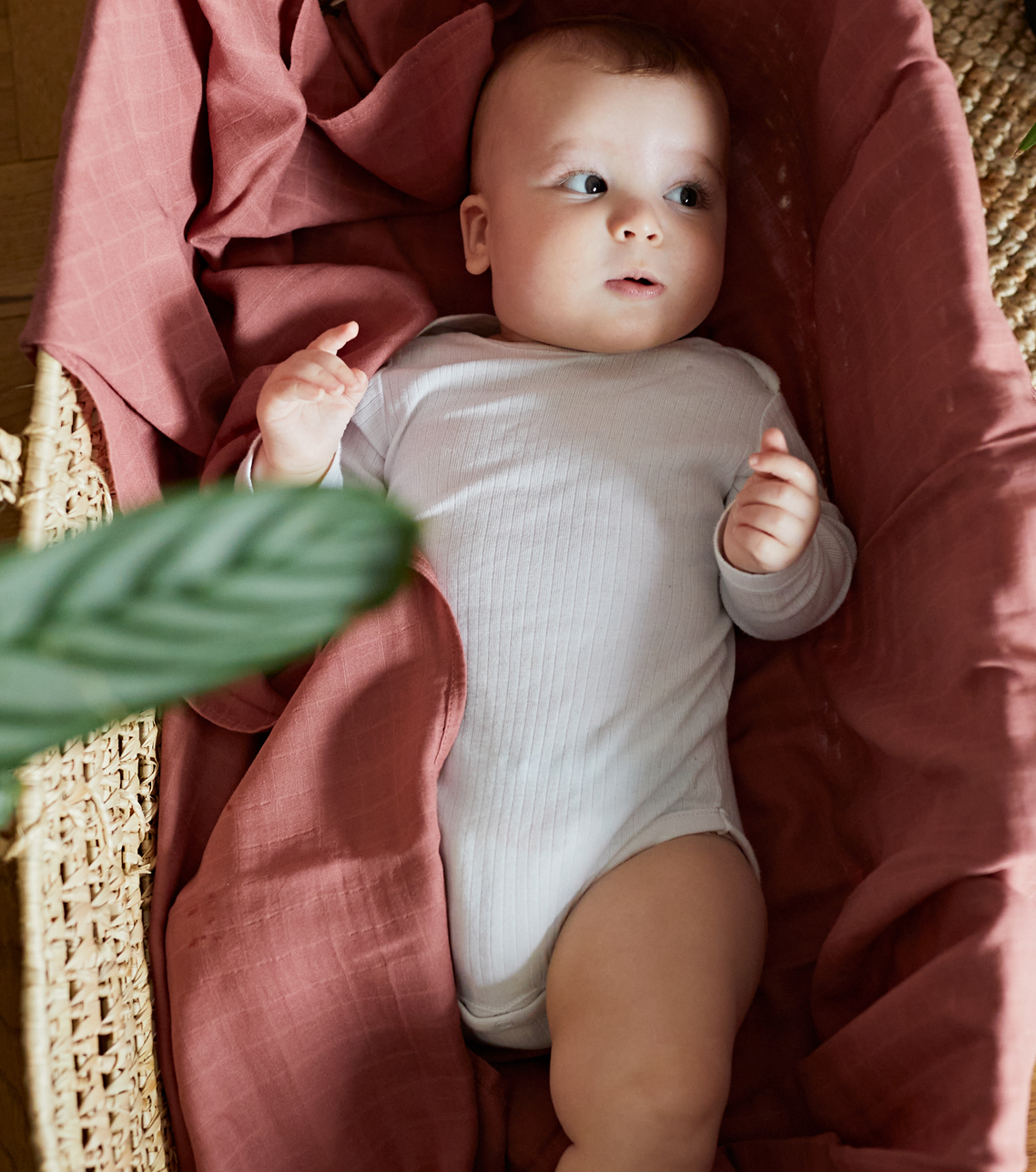 Little best sale lotus swaddle